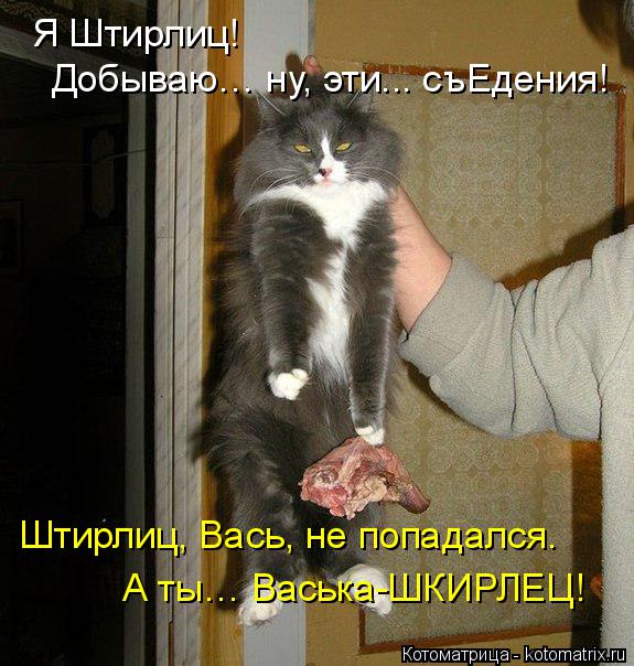 Я Штирлиц! Добываю… ну, эти... съЕдения! Штирлиц, Вась, не попадался. А ты… Васька-ШКИРЛЕЦ!... Котоматрица: Я Штирлиц! Добываю… ну, эти... съЕдения! Штирлиц, Вась, не попадался. А ты… Васька-ШКИРЛЕЦ!