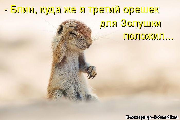 - Блин, куда же я третий орешек для Золушки положил...... Котоматрица: - Блин, куда же я третий орешек для Золушки положил...