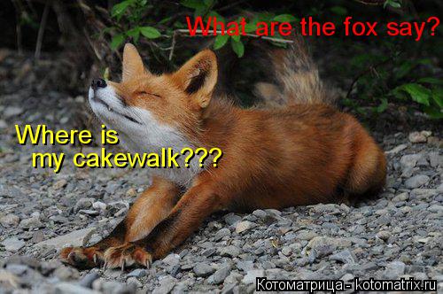 Котоматрица: What are the fox say? Where is my cakewalk???