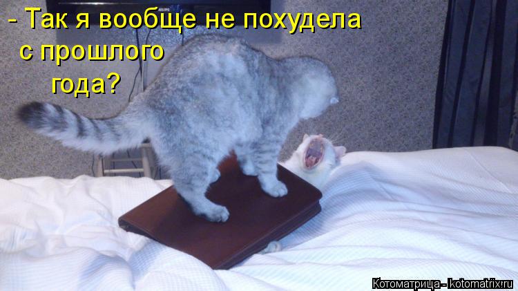 - Так я вообще не похудела с прошлого года?... Котоматрица: - Так я вообще не похудела с прошлого года?