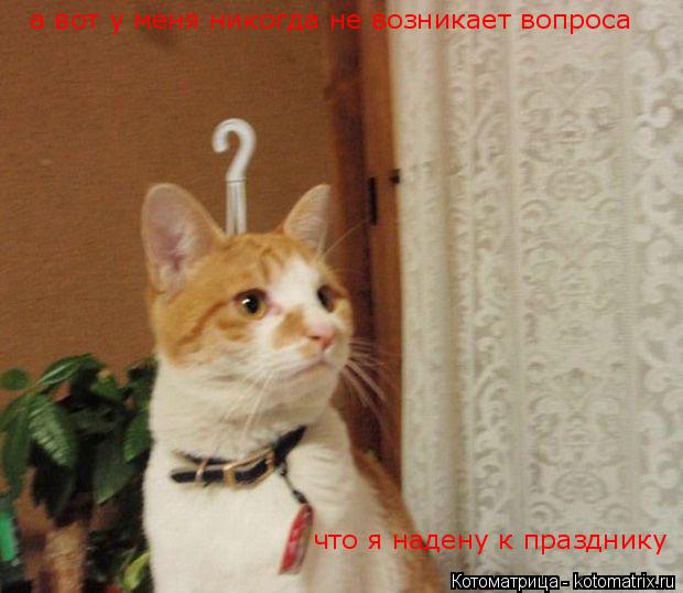 Котоматрица: а вот у меня никогда не возникает вопроса что я надену к празднику