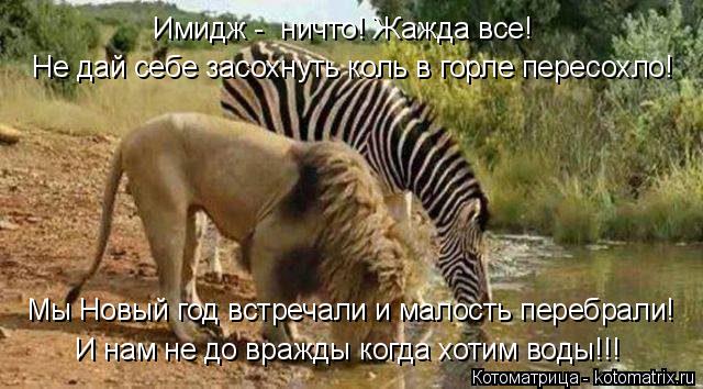Имидж - ничто! Жажда все! Не дай себе засохнуть коль в горле пересохло! Мы Новый год встречали и мал... Котоматрица: Имидж - ничто! Жажда все! Не дай себе засохнуть коль в горле пересохло! Мы Новый год встречали и малость перебрали! И нам не до вражды когда х