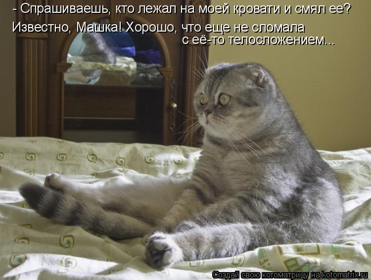 - Спрашиваешь, кто лежал на моей кровати и смял ее? Известно, Машка! Хорошо, что еще не сломала с её-... Котоматрица: - Спрашиваешь, кто лежал на моей кровати и смял ее? Известно, Машка! Хорошо, что еще не сломала с её-то телосложением...