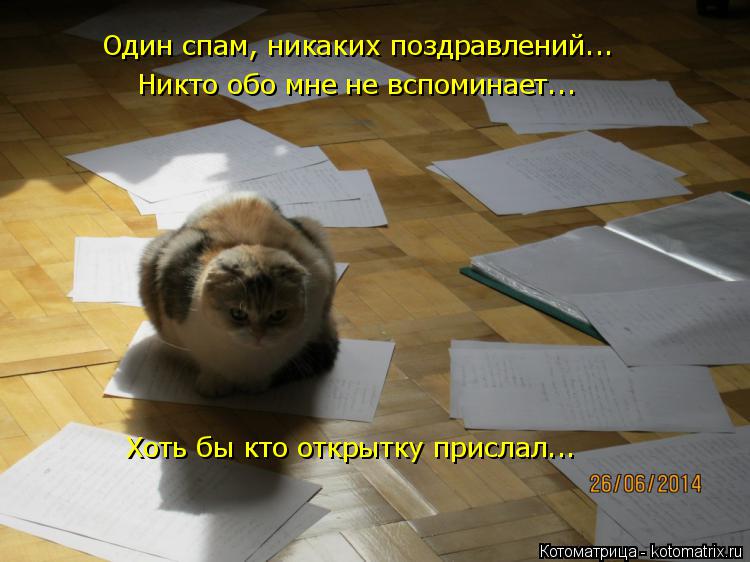 Один спам, никаких поздравлений... Никто обо мне не вспоминает... Хоть бы кто открытку прислал...... Котоматрица: Один спам, никаких поздравлений... Никто обо мне не вспоминает... Хоть бы кто открытку прислал...