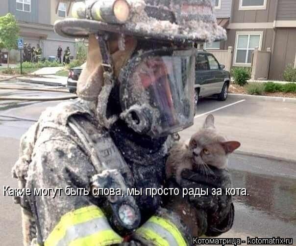 Какие могут быть слова, мы просто рады за кота.... Котоматрица: Какие могут быть слова, мы просто рады за кота.