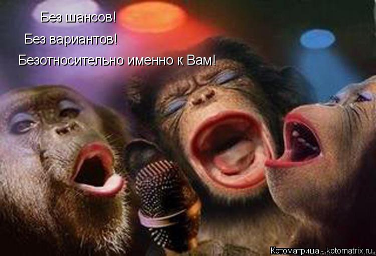 Без шансов! Без вариантов! Безотносительно именно к Вам!... Котоматрица: Без шансов! Без вариантов! Безотносительно именно к Вам!