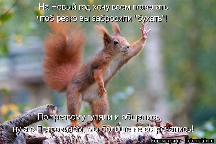 Котоматрица: На Новый год хочу всем пожелать, чтоб резко вы забросили "бухать"! По трезвому гуляли и общались, ну а с Петровичем, мы больше не встречались!