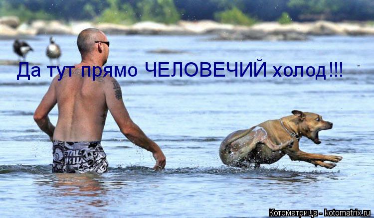 Да тут прямо ЧЕЛОВЕЧИЙ холод!!!... Котоматрица: Да тут прямо ЧЕЛОВЕЧИЙ холод!!!