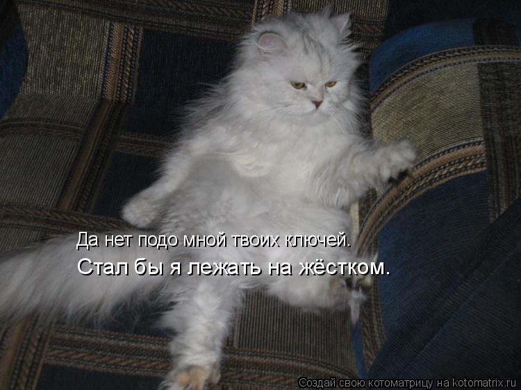 Да нет подо мной твоих ключей. Стал бы я лежать на жёстком.... Котоматрица: Да нет подо мной твоих ключей. Стал бы я лежать на жёстком.