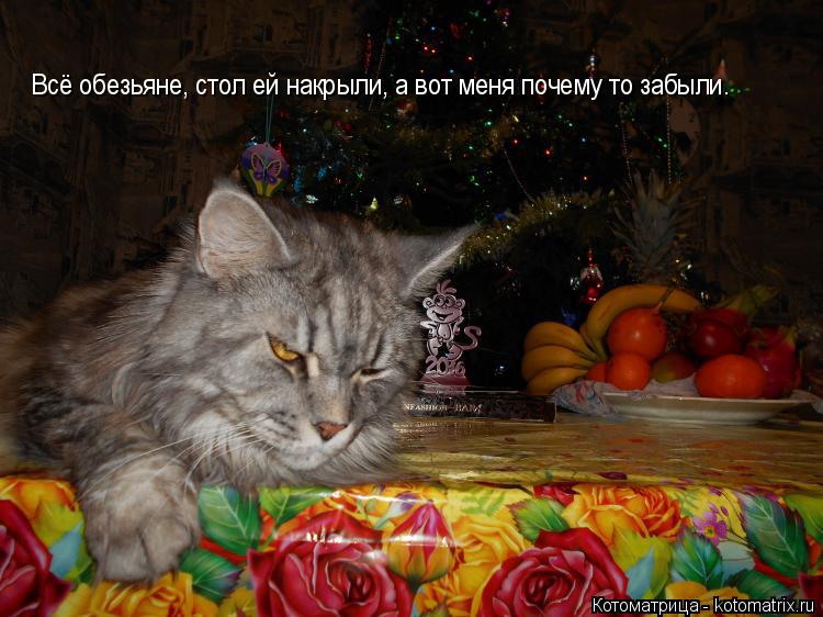 Котоматрица: Всё обезьяне, стол ей накрыли, а вот меня почему то забыли.