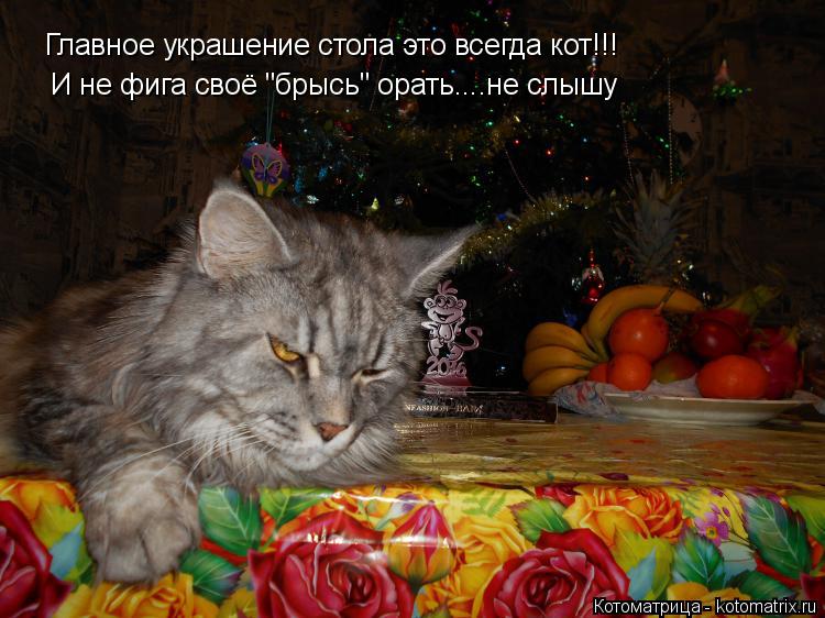 Котоматрица: Главное украшение стола это всегда кот!!!  И не фига своё "брысь" орать....не слышу