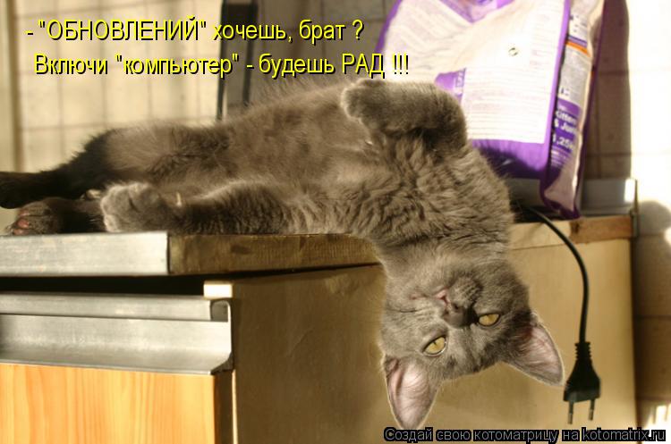 Котоматрица: - "ОБНОВЛЕНИЙ" хочешь, брат ? Включи "компьютер" - будешь РАД !!!