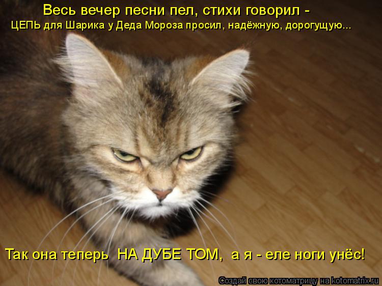 Весь вечер песни пел, стихи говорил - ЦЕПЬ для Шарика у Деда Мороза просил, надёжную, дорогущую... Та... Котоматрица: Весь вечер песни пел, стихи говорил - ЦЕПЬ для Шарика у Деда Мороза просил, надёжную, дорогущую... Так она теперь НА ДУБЕ ТОМ, а я - еле ноги ун