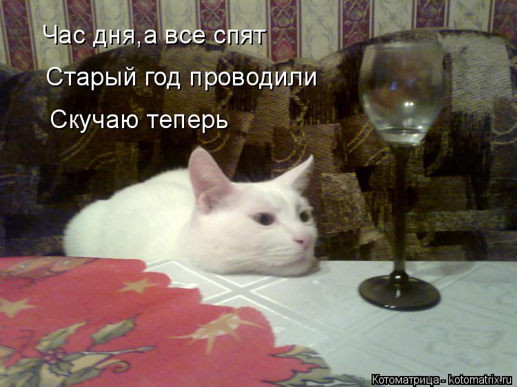 Час дня,а все спят Старый год проводили Скучаю теперь... Котоматрица: Час дня,а все спят Старый год проводили Скучаю теперь