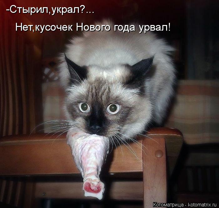 -Стырил,украл?... Нет,кусочек Нового года урвал!... Котоматрица: -Стырил,украл?... Нет,кусочек Нового года урвал!
