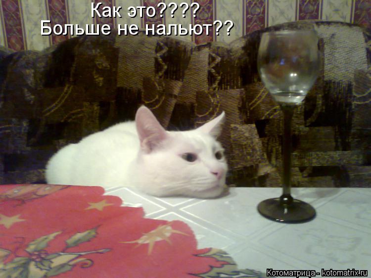 Как это???? Больше не нальют??... Котоматрица: Как это???? Больше не нальют??