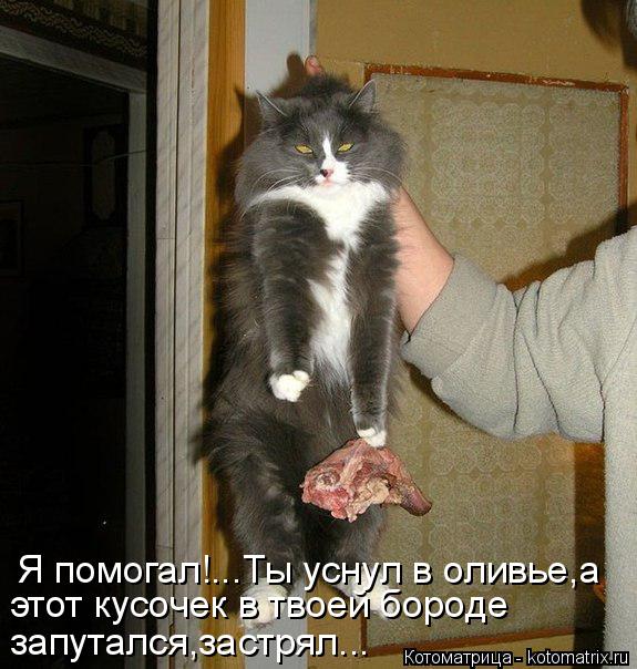 этот кусочек в твоей бороде запутался,застрял... Я помогал!...Ты уснул в оливье,а... Котоматрица: этот кусочек в твоей бороде запутался,застрял... Я помогал!...Ты уснул в оливье,а