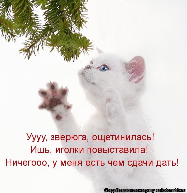 Уууу, зверюга, ощетинилась! Ишь, иголки повыставила! Ничегооо, у меня есть чем сдачи дать!... Котоматрица: Уууу, зверюга, ощетинилась! Ишь, иголки повыставила! Ничегооо, у меня есть чем сдачи дать!