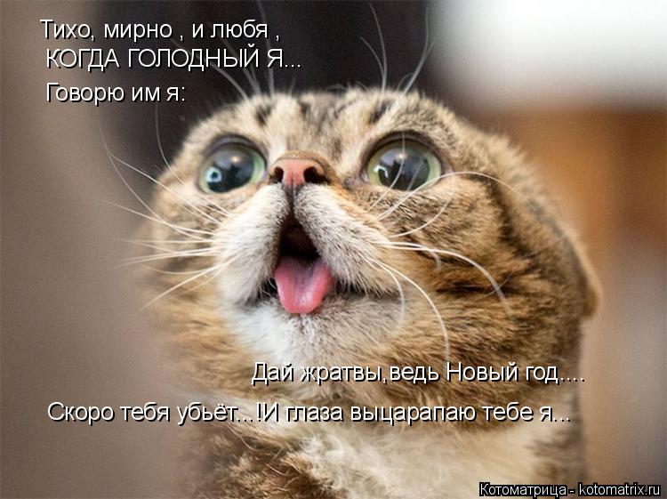 Тихо, мирно , и любя , КОГДА ГОЛОДНЫЙ Я... Говорю им я: Дай жратвы,ведь Новый год.... Скоро тебя убьё... Котоматрица: Тихо, мирно , и любя , КОГДА ГОЛОДНЫЙ Я... Говорю им я: Дай жратвы,ведь Новый год.... Скоро тебя убьёт...!И глаза выцарапаю тебе я...
