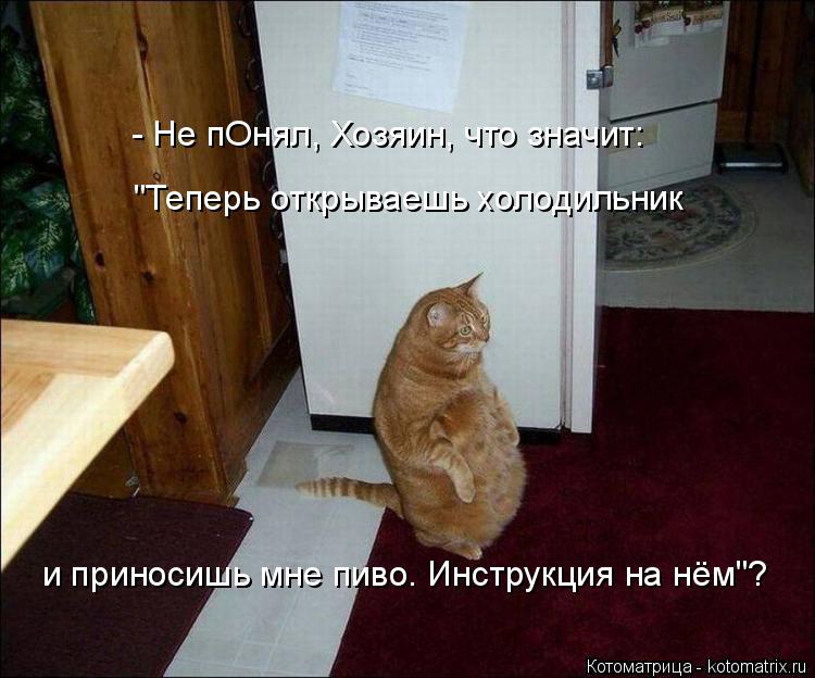 - Не пОнял, Хозяин, что значит: "Теперь открываешь холодильник и приносишь мне пиво. Инструкция на нё... Котоматрица: - Не пОнял, Хозяин, что значит: "Теперь открываешь холодильник и приносишь мне пиво. Инструкция на нём"?