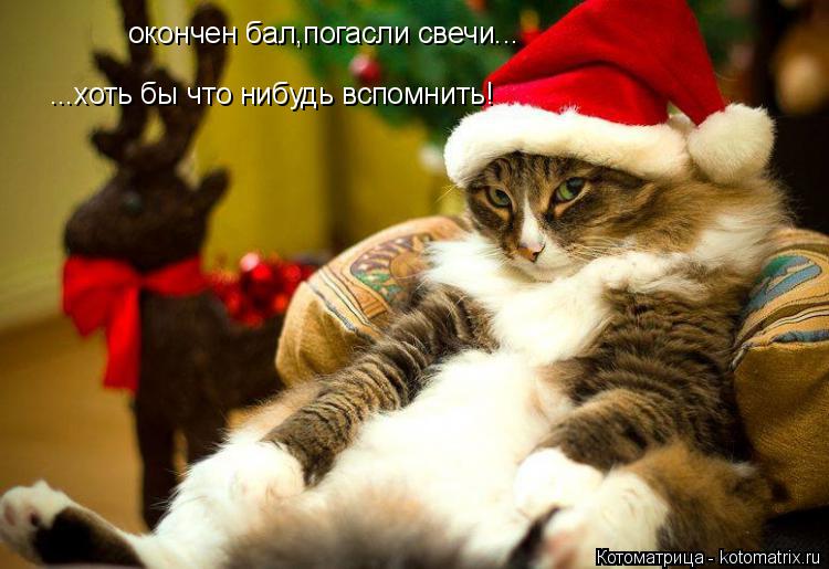 окончен бал,погасли свечи... ...хоть бы что нибудь вспомнить!... Котоматрица: окончен бал,погасли свечи... ...хоть бы что нибудь вспомнить!