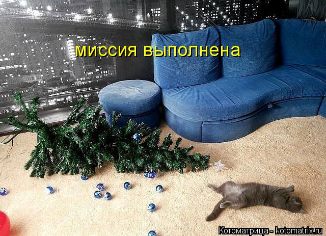 миссия выполнена... Котоматрица: миссия выполнена