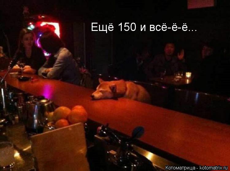 Ещё 150 и всё-ё-ё...... Котоматрица: Ещё 150 и всё-ё-ё...
