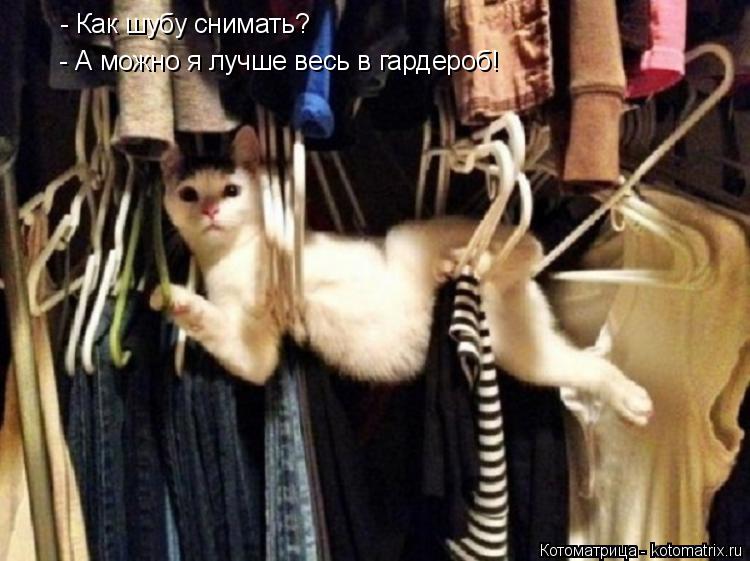 - Как шубу снимать? - А можно я лучше весь в гардероб!... Котоматрица: - Как шубу снимать? - А можно я лучше весь в гардероб!