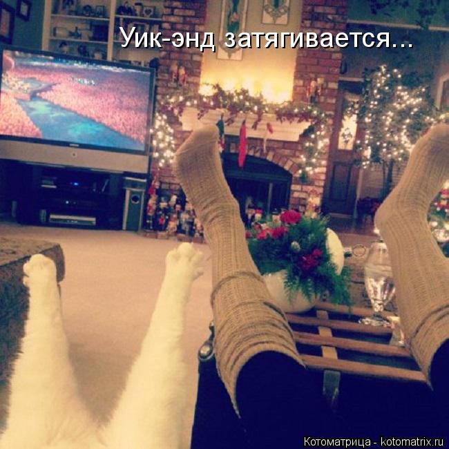 Уик-энд затягивается...... Котоматрица: Уик-энд затягивается...