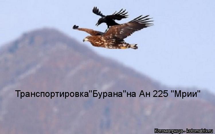 Транспортировка"Бурана"на Ан 225 "Мрии"... Котоматрица: Транспортировка"Бурана"на Ан 225 "Мрии"