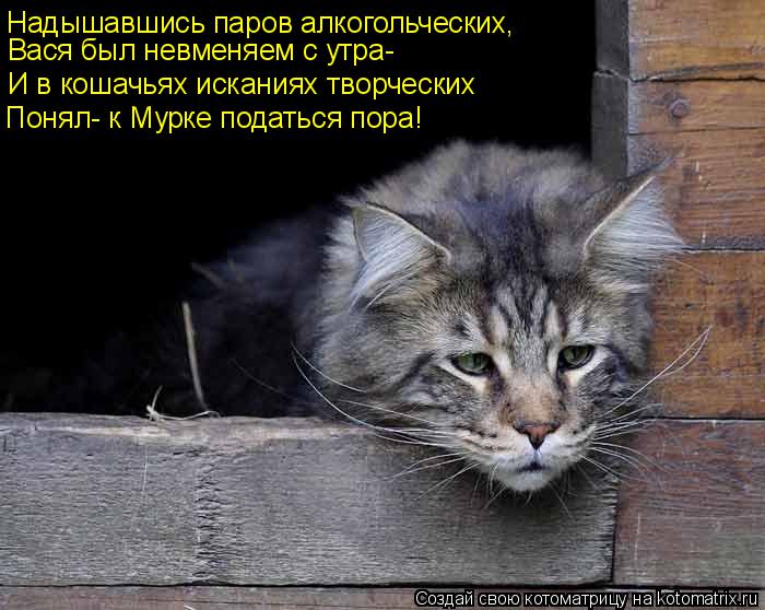 Надышавшись паров алкогольческих, Вася был невменяем с утра- И в кошачьях исканиях творческих Понял- ... Котоматрица: Надышавшись паров алкогольческих, Вася был невменяем с утра- И в кошачьях исканиях творческих Понял- к Мурке податься пора!