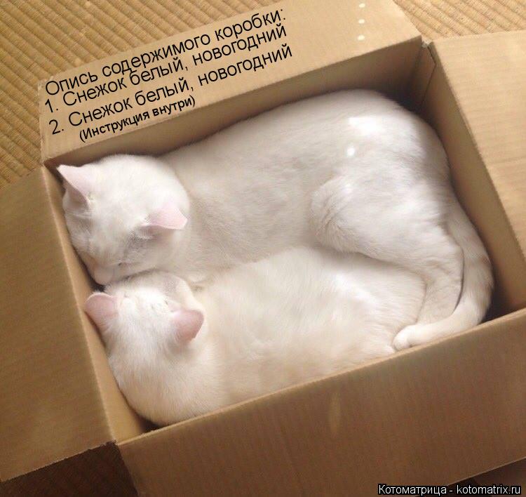 Опись содержимого коробки: 1. Снежок белый, новогодний 2. Снежок белый, новогодний (Инструкция внутри... Котоматрица: Опись содержимого коробки: 1. Снежок белый, новогодний 2. Снежок белый, новогодний (Инструкция внутри)