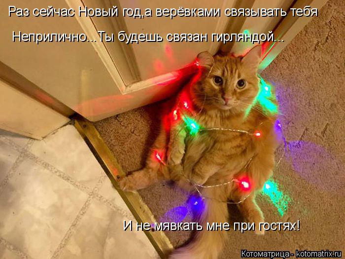 Раз сейчас Новый год,а верёвками связывать тебя Неприлично...Ты будешь связан гирляндой Неприлично..... Котоматрица: Раз сейчас Новый год,а верёвками связывать тебя Неприлично...Ты будешь связан гирляндой Неприлично...Ты будешь связан гирляндой... И не мявк