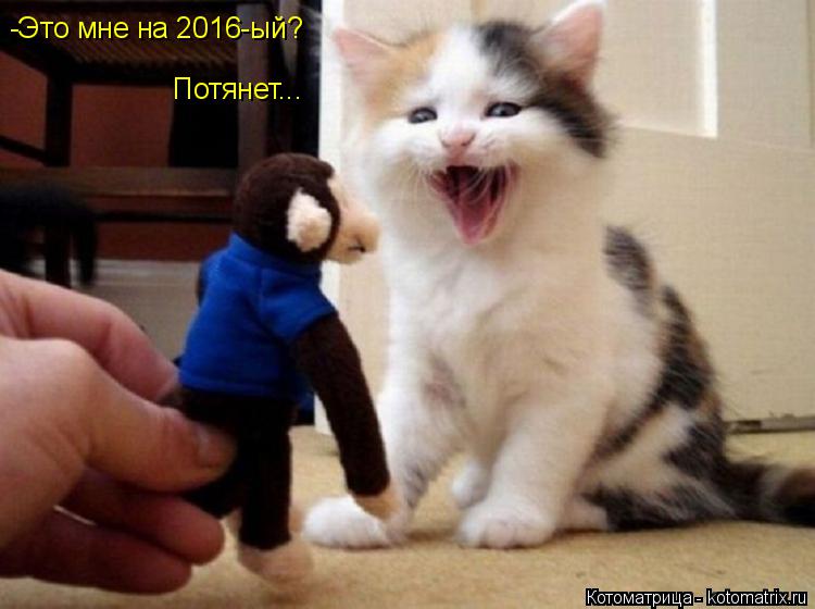 -Это мне на 2016-ый? Потянет...... Котоматрица: -Это мне на 2016-ый? Потянет...