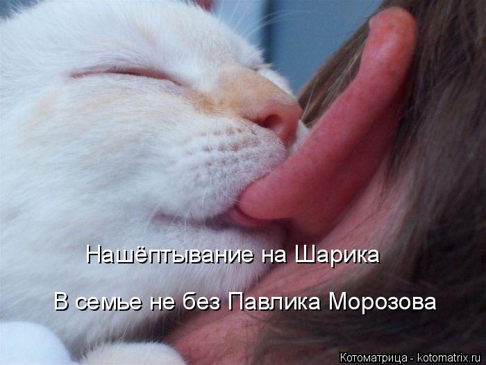 Нашёптывание на Шарика В семье не без Павлика Морозова... Котоматрица: Нашёптывание на Шарика В семье не без Павлика Морозова