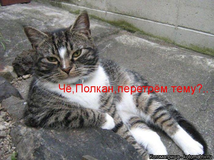 Чё,Полкан,перетрём тему?..... Котоматрица: Чё,Полкан,перетрём тему?..