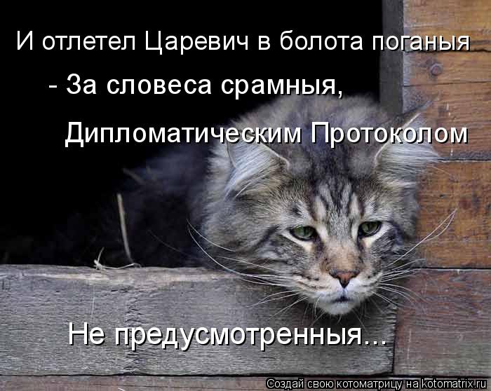 И отлетел Царевич в болота поганыя - За словеса срамныя, Дипломатическим Протоколом Не предусмотренны... Котоматрица: И отлетел Царевич в болота поганыя - За словеса срамныя, Дипломатическим Протоколом Не предусмотренныя...