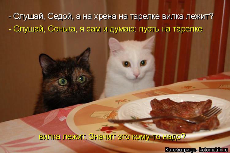 - Слушай, Седой, а на хрена на тарелке вилка лежит? - Слушай, Сонька, я сам и думаю: пусть на тарелке... Котоматрица: - Слушай, Седой, а на хрена на тарелке вилка лежит? - Слушай, Сонька, я сам и думаю: пусть на тарелке вилка лежит. Значит это кому-то надо?