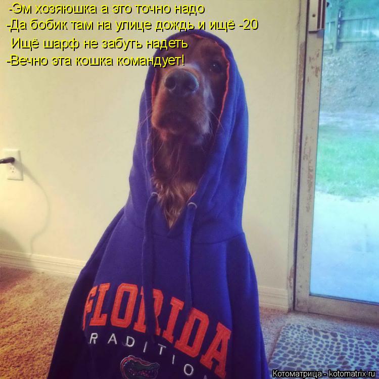 -Эм хозяюшка а это точно надо -Да бобик там на улице дождь и ищё -20 Ищё шарф не забуть надеть -Вечно... Котоматрица: -Эм хозяюшка а это точно надо -Да бобик там на улице дождь и ищё -20 Ищё шарф не забуть надеть -Вечно эта кошка командует!