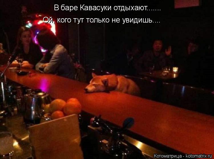 В баре Кавасуки отдыхают....... Ой, кого тут только не увидишь....... Котоматрица: В баре Кавасуки отдыхают....... Ой, кого тут только не увидишь....
