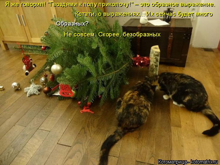 Я же говорил! "Гвоздями к полу приколочу!" – это образное выражение. Кстати, о выражениях... Их сейч... Котоматрица: Я же говорил! "Гвоздями к полу приколочу!" – это образное выражение. Кстати, о выражениях... Их сейчас будет много Образных? Не совсем. Скорее,