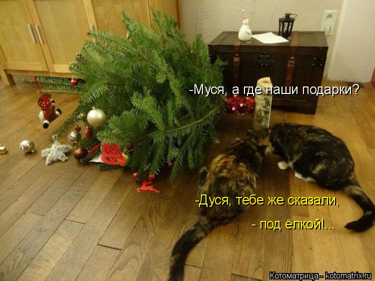 -Муся, а где наши подарки? -Дуся, тебе же сказали, - под ёлкой!...... Котоматрица: -Муся, а где наши подарки? -Дуся, тебе же сказали, - под ёлкой!...