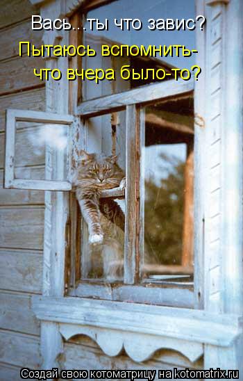 Котоматрица: Вась...ты что завис? что вчера было-то? Пытаюсь вспомнить-