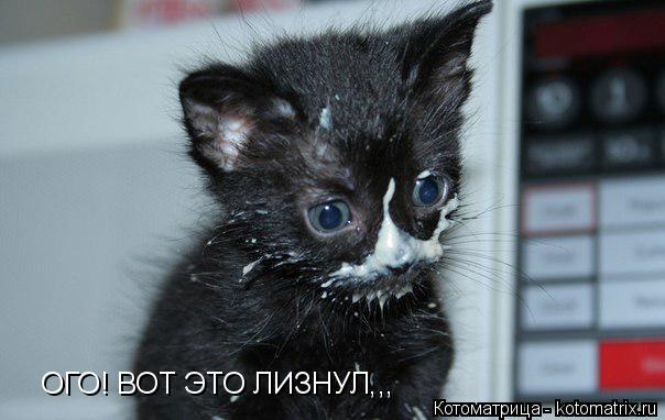 ОГО! ВОТ ЭТО ЛИЗНУЛ,,,... Котоматрица: ОГО! ВОТ ЭТО ЛИЗНУЛ,,,