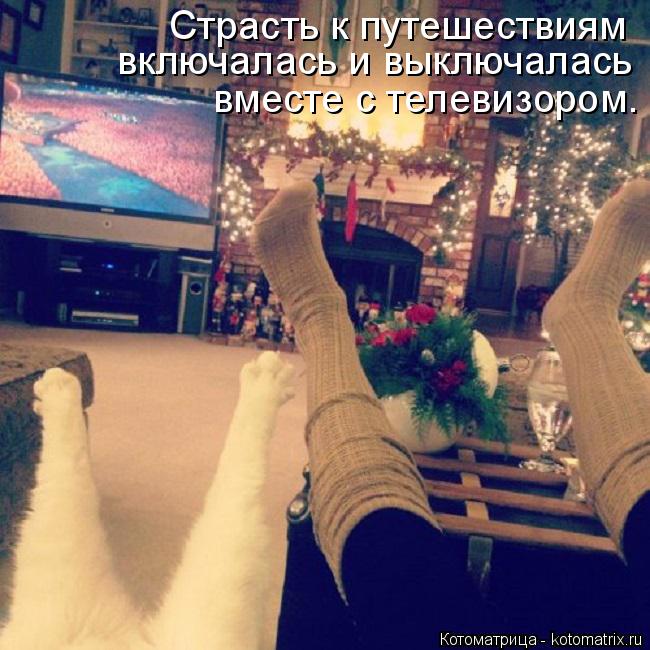 Страсть к путешествиям включалась и выключалась вместе с телевизором.... Котоматрица: Страсть к путешествиям включалась и выключалась вместе с телевизором.