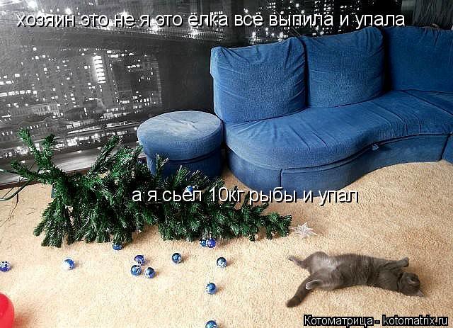 Котоматрица: fsf хозяин это не я это ёлка всё выпила и упала а я сьел 10кг рыбы и упал
