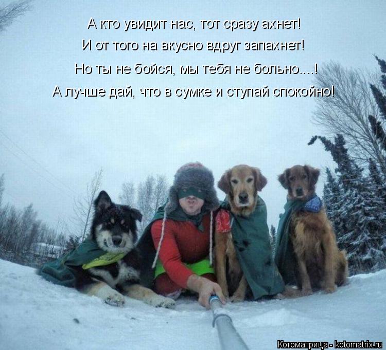 Котоматрица: А кто увидит нас, тот сразу ахнет! И от того на вкусно вдруг запахнет! Но ты не бойся, мы тебя не больно....! А лучше дай, что в сумке и ступай спо