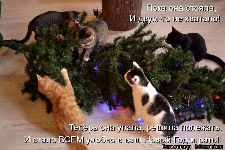 Теперь она упала, решила полежать. Пока она стояла, И двум-то не хватало! И стало ВСЕМ удобно в ваш Н... Котоматрица: Теперь она упала, решила полежать. Пока она стояла, И двум-то не хватало! И стало ВСЕМ удобно в ваш Новый Год играть!