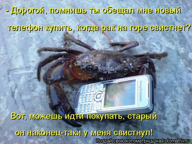 - Дорогой, помнишь ты обещал мне новый телефон купить, когда рак на горе свистнет? Вот, можешь идти п... Котоматрица: - Дорогой, помнишь ты обещал мне новый телефон купить, когда рак на горе свистнет? Вот, можешь идти покупать, старый он наконец-таки у меня св