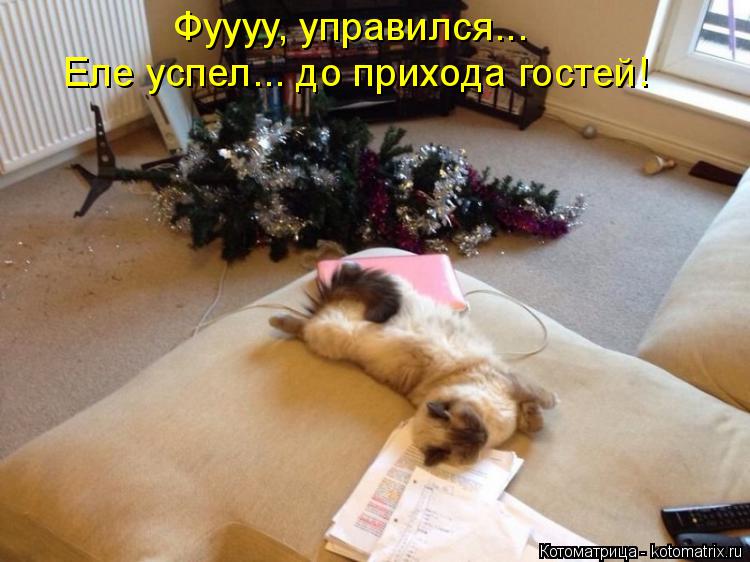 Фуууу, управился... Еле успел... до прихода гостей!... Котоматрица: Фуууу, управился... Еле успел... до прихода гостей!
